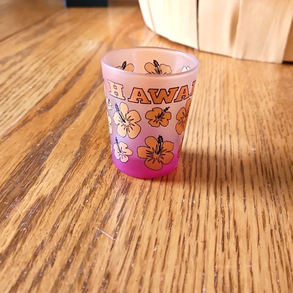 Hawaii shot glass, never used just collected them.